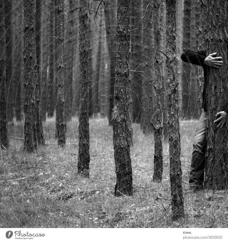 der mit dem Baum tanzt wald baum mann umarmen natur waldboden Forstwirtschaft bein hände baumrinde tanzen