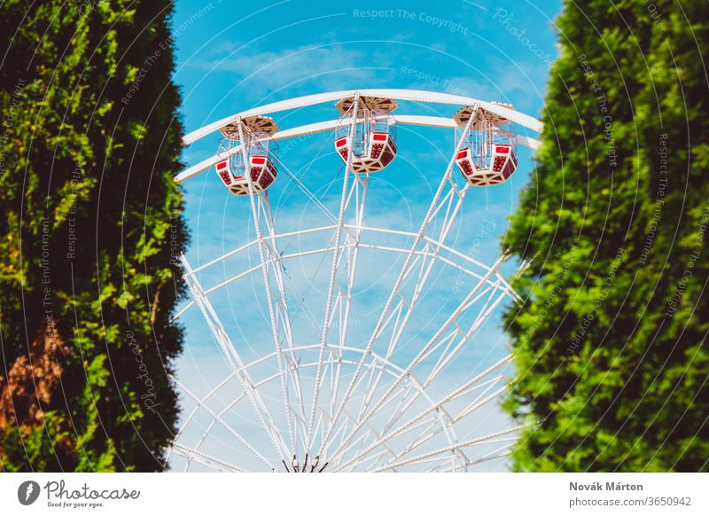 Ein Riesenrad mit roten Kabinen zwischen zwei Büschen im Freien Licht Spaß niemand farbenfroh pendeln Himmel Park Anziehungskraft Karneval klein Farbe Rad rund
