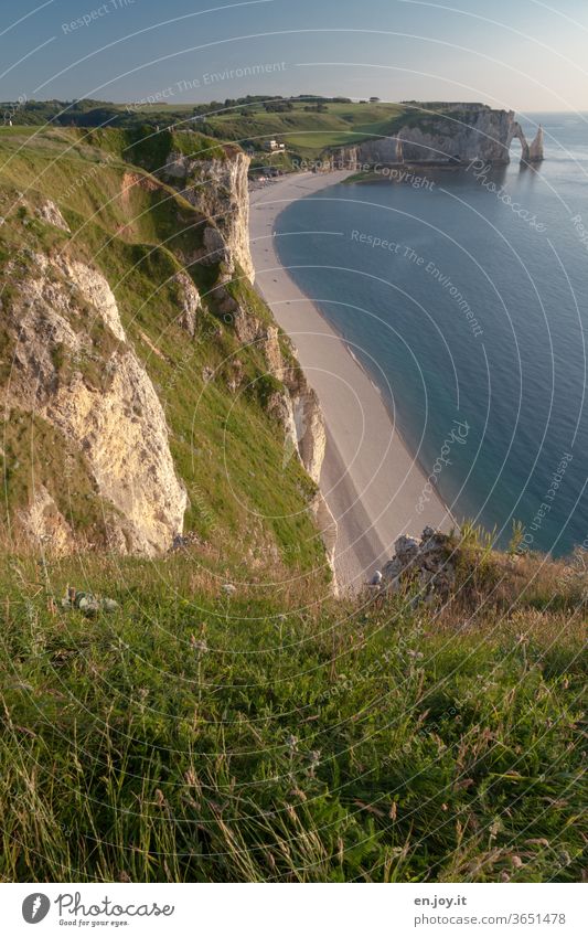 Kreidefelsen von Étretat Frankreich Normandie Strand Steilküste Felsen Meer Horizont Ferien & Urlaub & Reisen Felsnadel Ferne Panorama (Aussicht) Gras Wiese