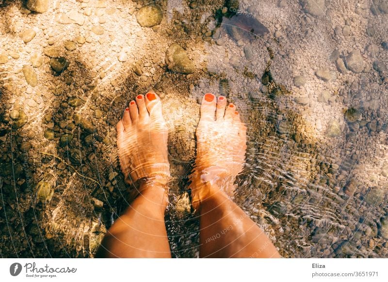 Mit den nackten Füßen im kalten Wasser eines Baches stehen. Sommer. Sonnenschein Erfrischung baden Licht Fluss nass Natur Schwimmen & Baden Lackierte Zehennägel