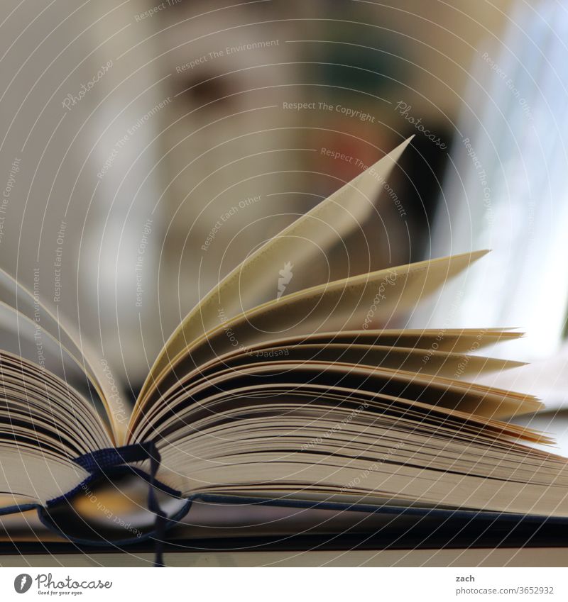 Druckerzeugnis | Blätterfächer Buch Buchladen bücher Bücherstapel Buchhandlung Bücherregal lesen Lesestoff Leseratte Bildung