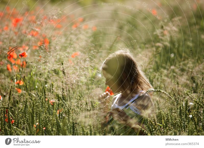 SommerTag Freude Zufriedenheit Erholung Freizeit & Hobby Spielen Ausflug Kind Mädchen Kindheit 1 Mensch 3-8 Jahre Natur Blume Wiese Feld wandern Neugier
