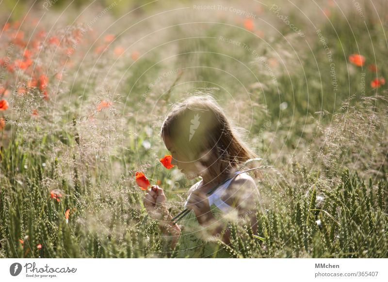 time falls away Zufriedenheit ruhig Freizeit & Hobby Mädchen 1 Mensch 3-8 Jahre Kind Kindheit Sommer Schönes Wetter Feld beobachten Blühend Spielen wandern
