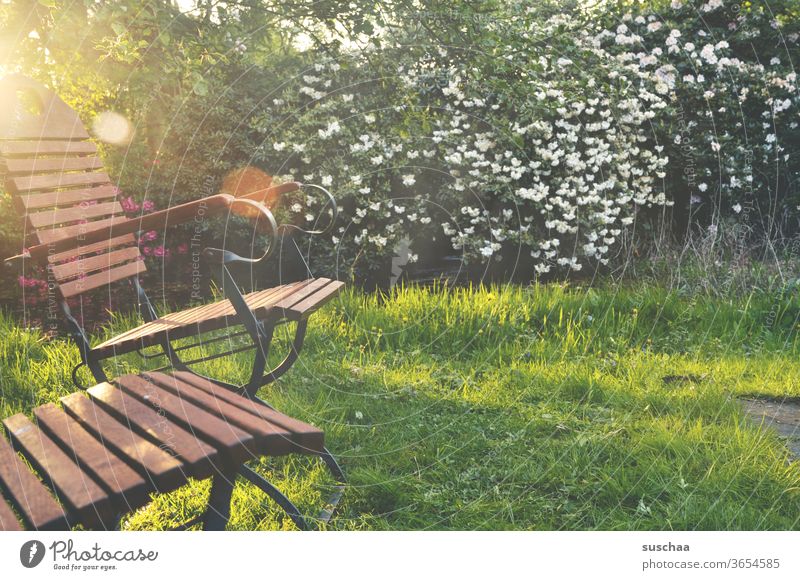 gemütlicher garten mit zwei leeren gartenstühlen einladend Garten Büsche blühend Sonnenlicht Gras Blüten blühende Büsche ausruhen Gartenstühle hinsetzen