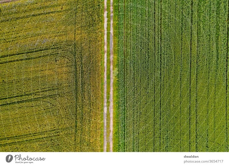 Acker von Oben Ackerbau Luftbild Ackerboden drone draufsicht Feld Außenaufnahme Natur Farbfoto Landschaft Erde Menschenleer Landwirtschaft Umwelt Tag braun