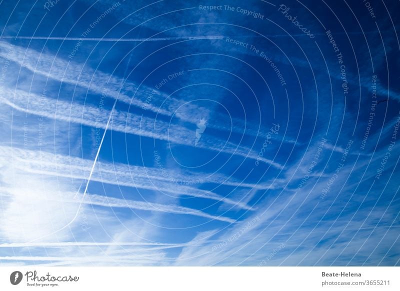 Himmlisch: bewegte Zeichen Himmel Sonne Schleierwolken Außenaufnahme Menschenleer Flugzeug Spuren Message blau-weiß Sonnentag himmlisch fliegen Luft Luftverkehr