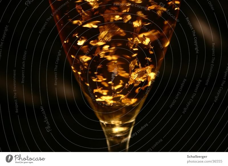 Goldrush Cocktail Sekt schwarz Dekadenz Alkohol gold Glas