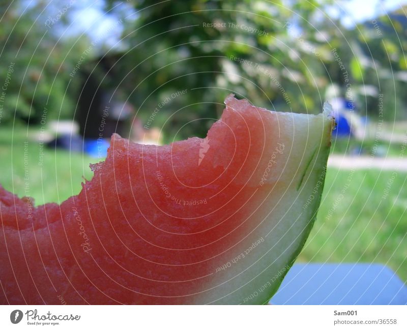 Wassermelone Sommer rot lecker Erfrischung süß Gesundheit Frucht Ernährung