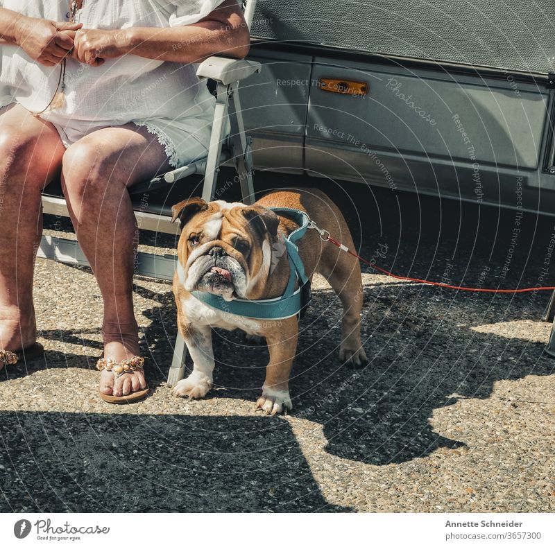 Camping mit Hund englische Bulldogge Wohnmobil Freizeit & Hobby Ferien & Urlaub & Reisen Fernweh Ausflug Freundschaft Abenteuer Lifestyle