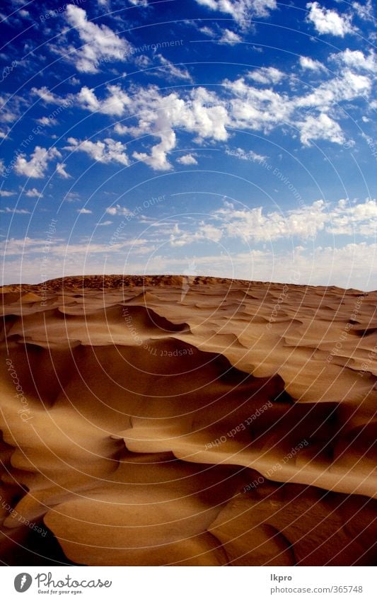 Düne in der Sahara-Wüste Natur Sand Wolken Hügel Linie braun schwarz weiß Einsamkeit Farbe Tunesien wüst Wasser winken hell-blau Holz Buchse Fußtritt Licht