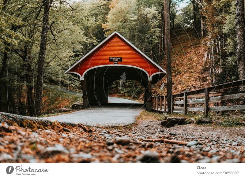 Rote, überdachte Brücke in Herbstwald Wald Froschperspektive Straße Asphalt wandern Dach Wege & Pfade Zaun Holz Blätter Steine Natur Außenaufnahme Baum