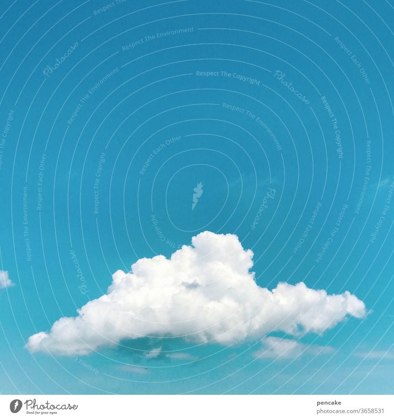 wölkchen Wolke Himmel blau Natur Detailaufnahme schönes Wetter Zuckerwatte