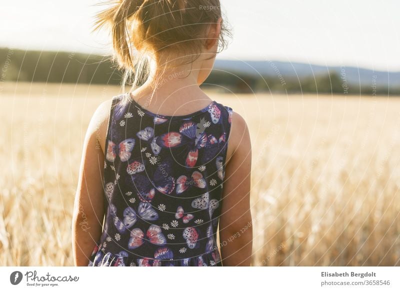 Kleines Mädchen steht im Weizenfeld und blickt in die ferne Landschaft Kind weizen träumen Sehnsucht Rückenansicht Sonnenstrahlen romantik landschaft