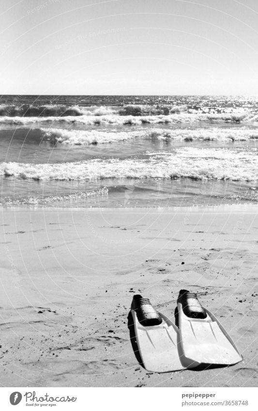 Schwimmflossen am Strand Meer Sand Wasser Wellen Sonne Himmel Küste Sommer Ferien & Urlaub & Reisen Außenaufnahme Sommerurlaub Menschenleer Erholung Tourismus
