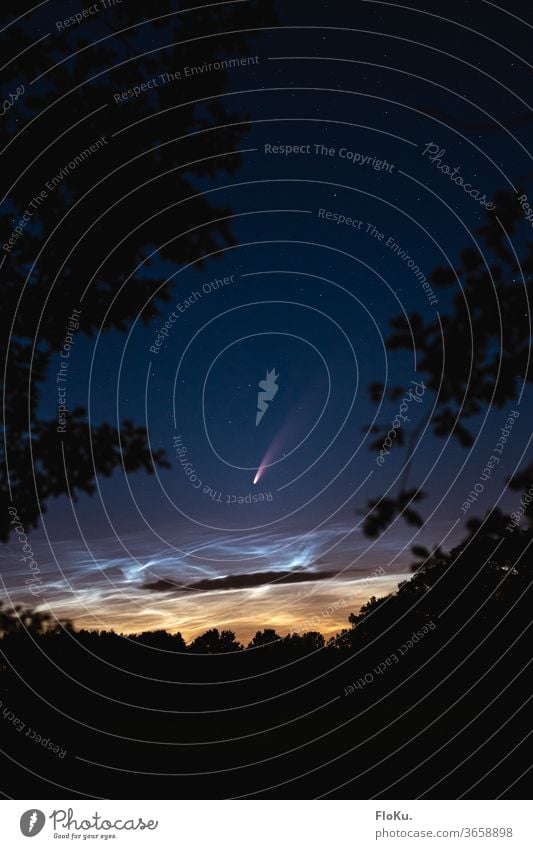 Komet Neowise zwischen Baumkronen in der Nähe von Hamburg Sterne weltall weltraum NASA neowise Himmel Sternenhimmel wolken nachtwolken leuchtende nachtwolken