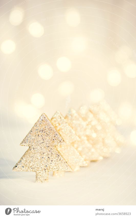 Goldene Weihnachtsbäume in Reih und Glied Weihnachten & Advent Weihnachtsdekoration Weihnachtsbaum gold gesprenkelt Kitsch Klischee Dekoration & Verzierung