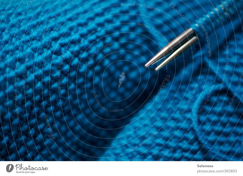 Einzelgänger niemals Freizeit & Hobby Spielen Handarbeit stricken Stricknadel nah Wärme weich blau Wolle Wolldecke Wollpullover Strickmuster Farbfoto
