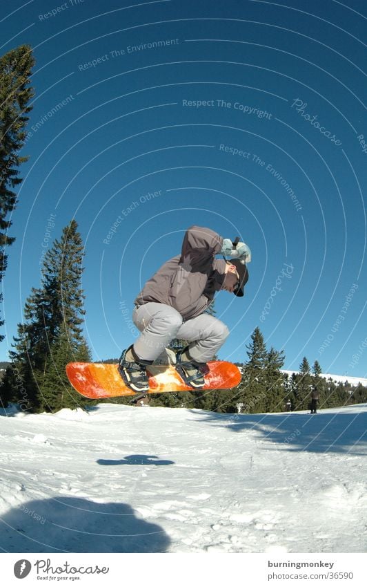 Board 4 Snowboard Wintersport springen Winterurlaub Sport Schnee Berge u. Gebirge Sonne Snowboarding Snowboarder Schatten hoch Blauer Himmel Außenaufnahme