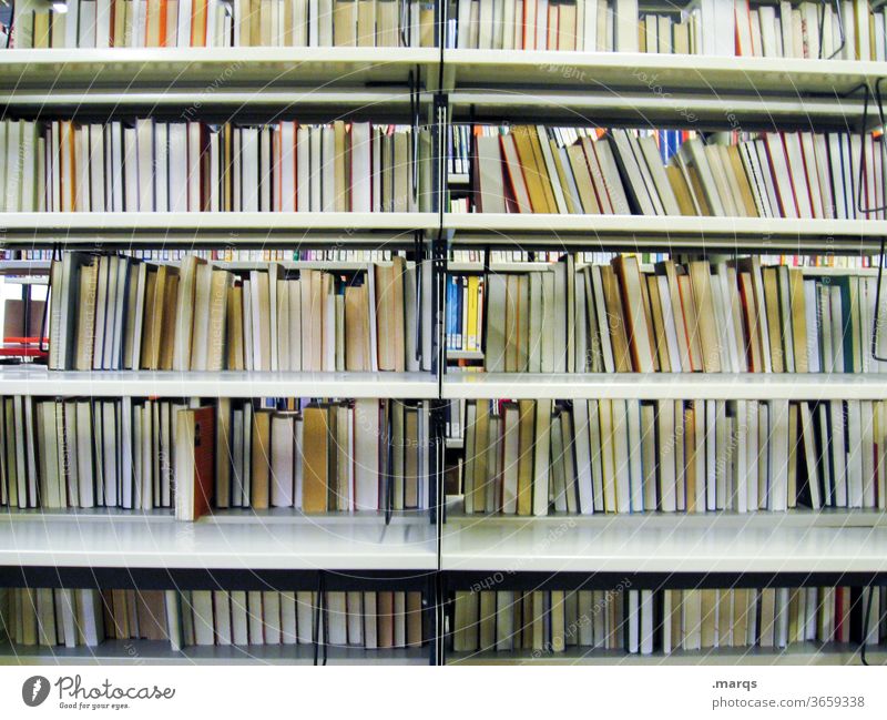 Bücherregal Bibliothek Bildung Studium lernen Buch Erwachsenenbildung viele Ordnung Prüfung & Examen lesen Universität Regal Schule Printmedien Buchrücken