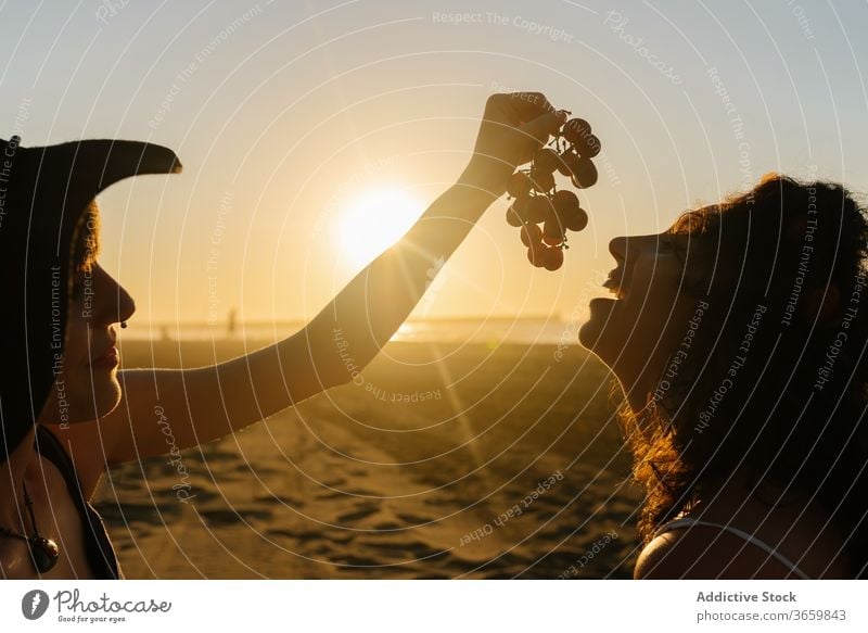 Liebevolles lesbisches Paar, das sich am Strand füttert Frauen Futter Traube gleichgeschlechtlich lgbt Sonnenuntergang Sommer Freundin Glück