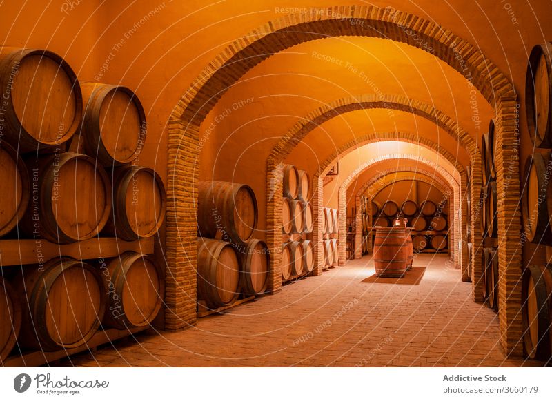 Holzfässer mit Wein in moderner Weinkellerei Weingut geräumig Lager Lauf grapery Innenbereich Inszenierung Weinbau gemütlich Kleinunternehmen Design Tisch