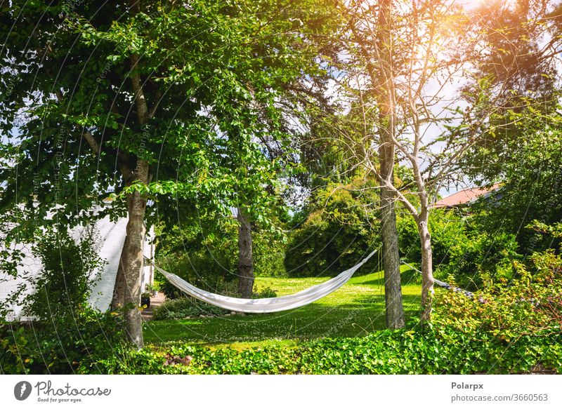 Weiße Hängematte in einem grünen Garten Laubwerk erhängen niemand einfach Apfel Freiheit Hinterhof Frühling sorgenfrei weiß Resort Sonnenlicht idyllisch