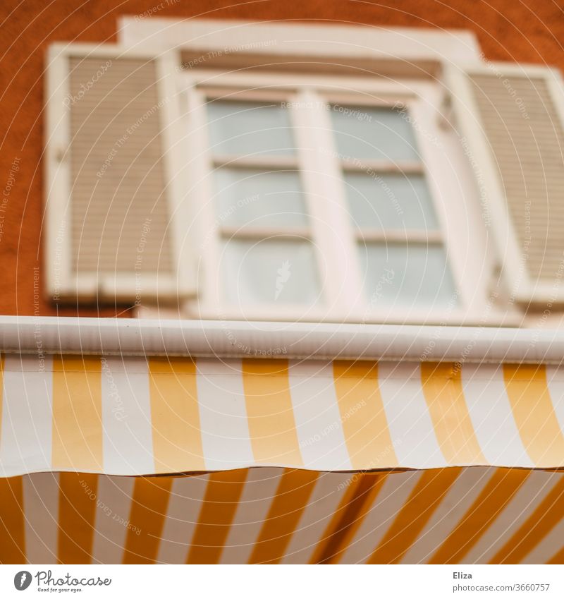 Gelb Weiß gestreifte Markise an einer hübschen Fassade gelb weiß freundlich Altbau Fenster gebäude Haus Altstadt Sonnenschutz Geschäft