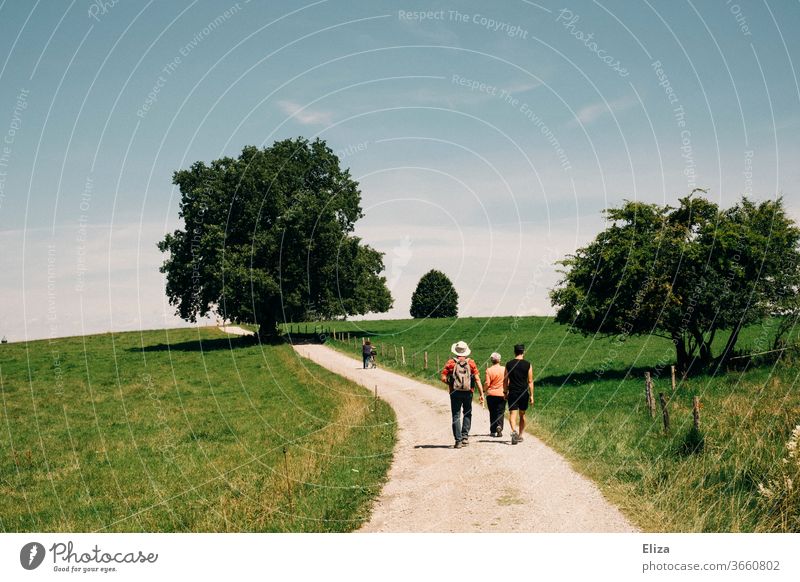 1200 | Eine Gruppe beim Wandern in der Natur bei schönem Wetter Familie Ausflug schönes Wetter Bäume Wiese Hügel Weg Umwelt Landschaft Himmel Sonnenlicht Sommer