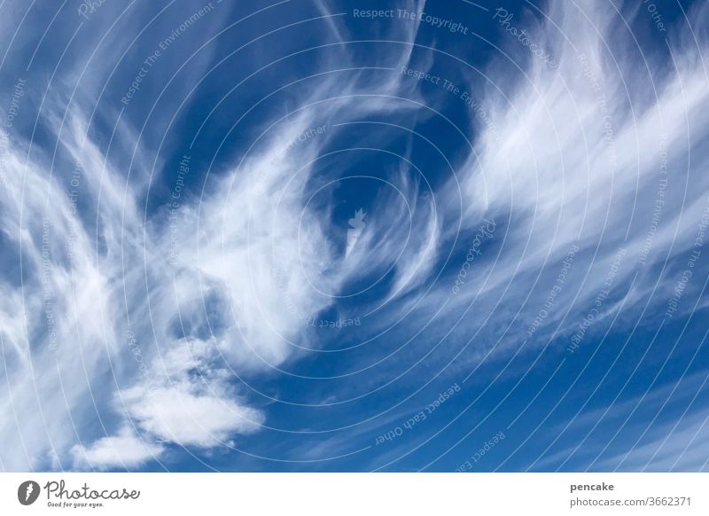 druckerzeugnis | hoch oder tief? Wolken Wetter Luftdruck Zirruswolken Cirruswolken Tiefdruck Hochdruck Federwolken Himmel blau Natur Klima Umwelt