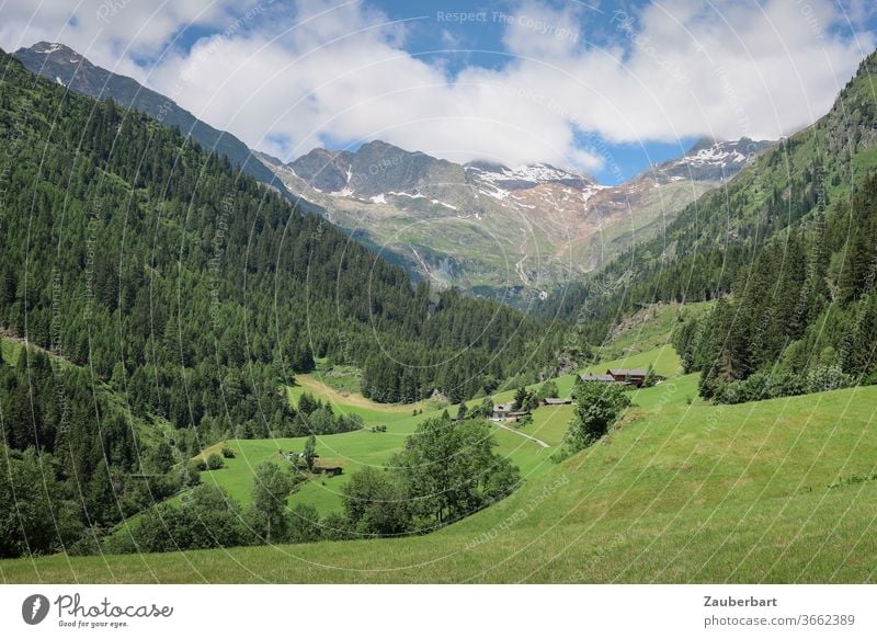 Wandern im Pflerschtal in Südtirol mit Almwiesen Tal Wiese Berge Alpen Idylle Hang Nadelwald Fichten Himmel Wolken grün Berge u. Gebirge Landschaft Wanderlust