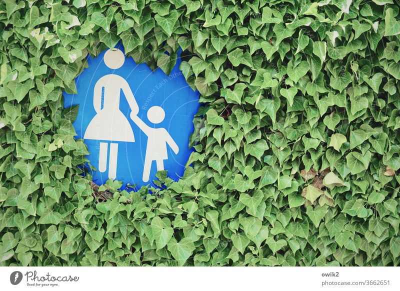 Mutter-Kind-Kreis Hecke Blätter Flora dicht Verkehrsschild Gehweg Fußweg Fußgänger Fußgängerzone verkehrsberuhigt versteckt zuwachsen Figuren Mutter und Kind