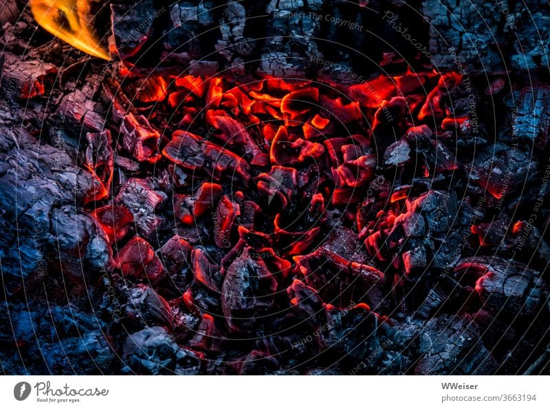 Die heißen Kohlen glühen noch Feuer Glut Flamme brennen Wärme Hitze Feuerschale Feuerstelle glühend Farbkontrast rot blau schwarz Nahaufnahme orange