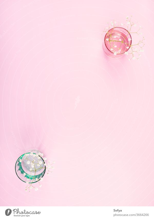 Pastellfarbene Brille mit Blumen auf rosa Glas Glaswaren Rahmen Geschirr Hintergrund Essgeschirr trinken Design Küchengeräte Kulisse Sommer Attrappe Frühling