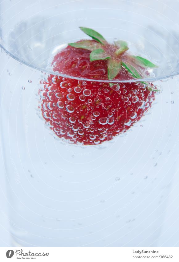 Strawberry-Bubbles Frucht Trinkwasser Glas Wasser Tropfen trinken Flüssigkeit frisch kalt lecker saftig süß grün rot Neugier Durst entdecken Freude Farbfoto