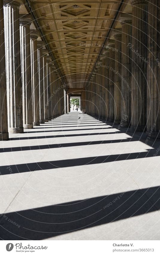 Säulengang mit Krähe und Mensch | Am Kolonnadenhof auf der Museumsinsel Licht und Schatten Licht- und Schattenspiel Außenaufnahme Kontrast Sonnenlicht Decke