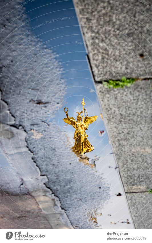 Siegessäule in einer Pfützenspiegelung mit Asphalt und Bordsteinkante Stadtzentrum Menschenleer Sehenswürdigkeit Wahrzeichen Denkmal Gold Statue Farbfoto