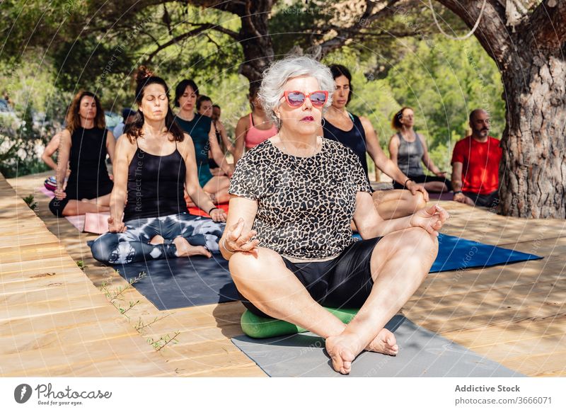 Ältere Frau praktiziert Yoga an der Natur üben Klasse Park Pose Gesundheitswesen Aktivität reif Senior älter alt Wellness Asana sich[Akk] entspannen Dame
