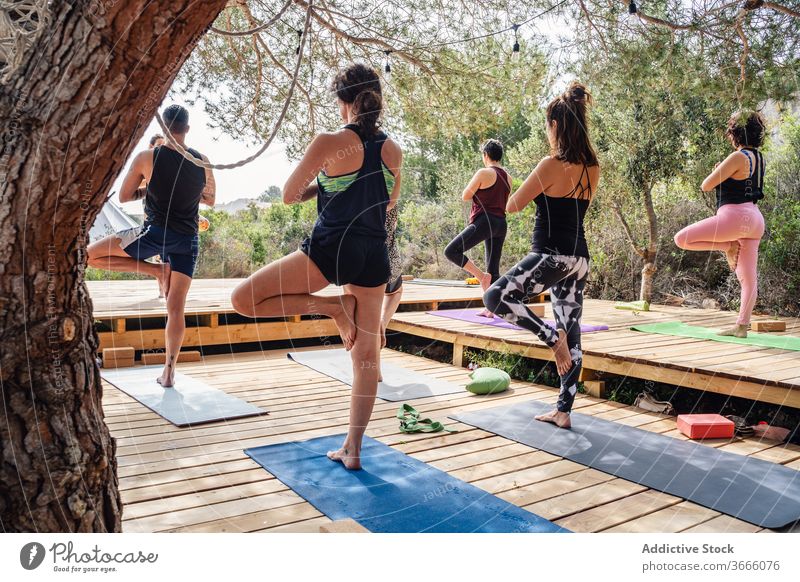 Gruppe von Frauen, die sich auf eine Baum-Pose in der Natur vorbereiten üben Yoga Baumhaltung Gleichgewicht Lager Menschengruppe Unterlage Podest