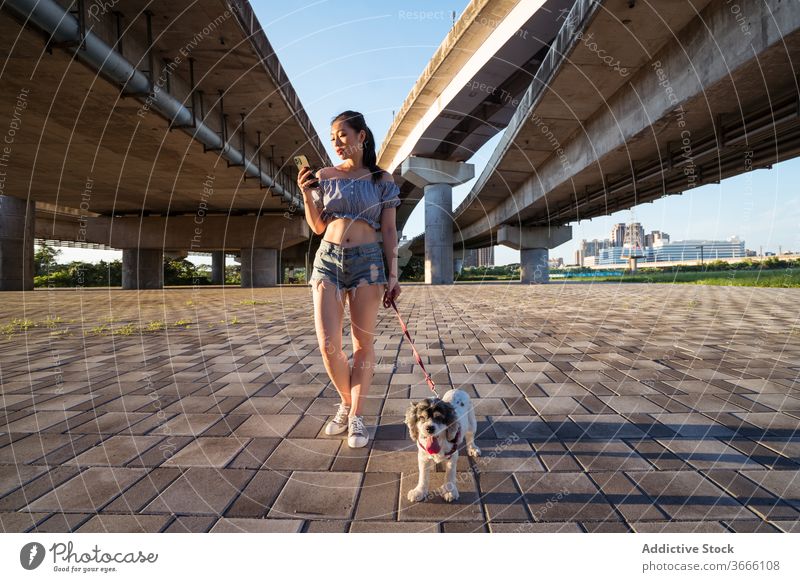 Asiatische Dame geht mit American Cocker Spaniel an der Leine mit dem Handy spazieren Frau Spaziergang Smartphone Hund Browsen Reinrassig gehorsam Eckzahn