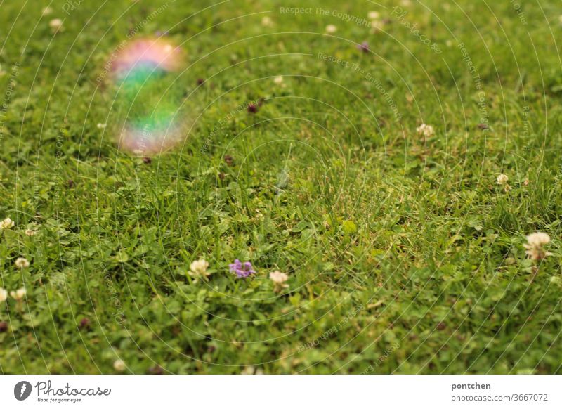 Eine unscharfe Seifenblase schwebt über einer grünen Wiese mit Wiesenblumen wiese unschärfe kinderspiel reflexion faszination Reflexion & Spiegelung Bunt rund