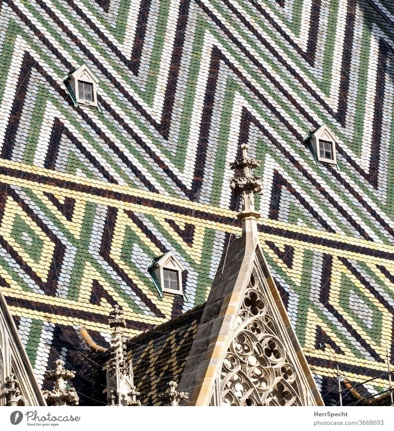 Stephansdom in Wien - Detailaufnahme Dach Gotik Kathedrale Dom Religion & Glaube Außenaufnahme Gotteshäuser Bauwerk Sehenswürdigkeit Kirche Architektur