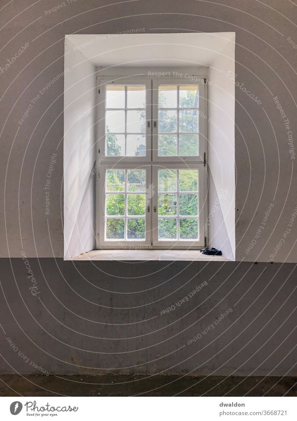 Ein Blick aus dem leeren Raum in die volle Welte fenster rahmen weiss raum Rahmen Fenster Wand weiß Farbe Architektur Haus Verfall Hinterhof Aussicht