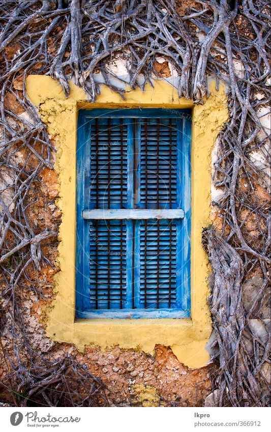 Gefängnisinsel Sansibar und ein altes Fenster geschlossen Klettern Bergsteigen Natur Baum Linie historisch blau braun gelb schwarz weiß zugeklappt Wand Gitter