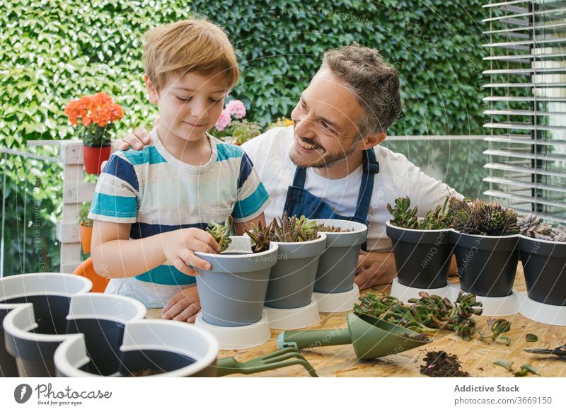 Gärtner hilft Sohn beim Einfüllen von Erde in einen Topf mit Kakteen Vater Kelle eingießen Boden Hilfsbereitschaft Zusammensein Gartenarbeit kultivieren Anbauer