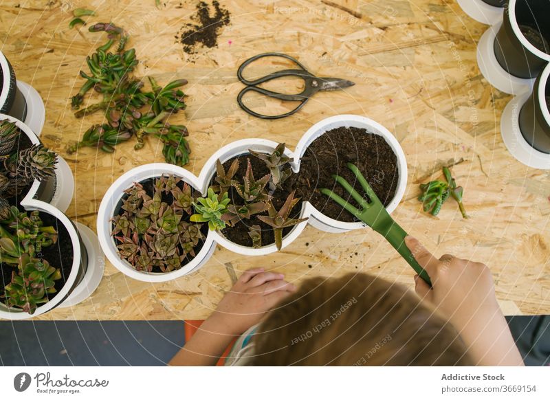 Anonymer Junge mit Gartenarbeit Gabel vorbereiten Erde für Pflanze im Topf lockern Boden Gartenbau kultivieren Kakteen Hecke Harmonie üppig (Wuchs) grün Anbauer