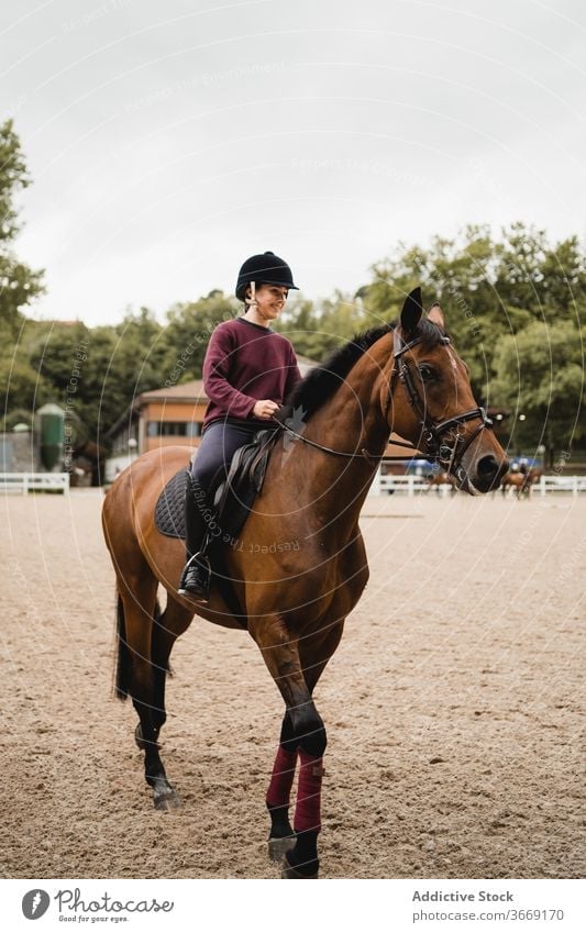 Weiblicher Jockey reitet Pferd auf Paddock Pferderücken Mitfahrgelegenheit Dressur Frau Training Reiterin Sattelkammer Arena Kastanie Zügel Zaumzeug Tier