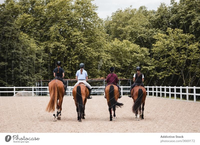 Gruppe von Reiterinnen reiten Pferde auf der Koppel Mitfahrgelegenheit Menschengruppe Pferderücken Dressur Unternehmen Frauen Sattelkammer Zusammensein Training