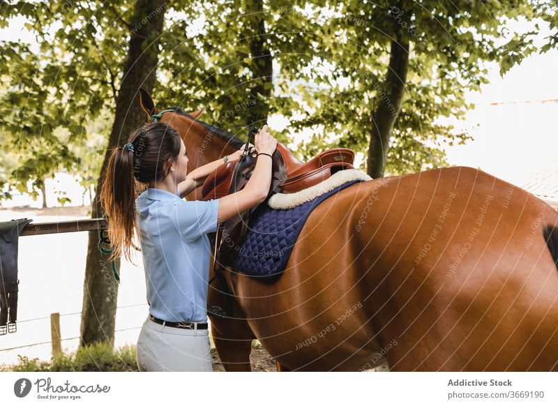 Beschäftigter weiblicher Jockey mit Pferd auf Ranch Reiterin Frau Sattel Tier angezogen Gerät vorbereiten Werkzeug pferdeähnlich jung beschäftigt ernst