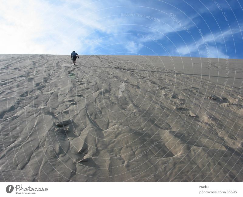 himmelstürmer Physik Horizont Licht Europa Sand Stranddüne Wärme Mensch aufwärts Himmelstürmer