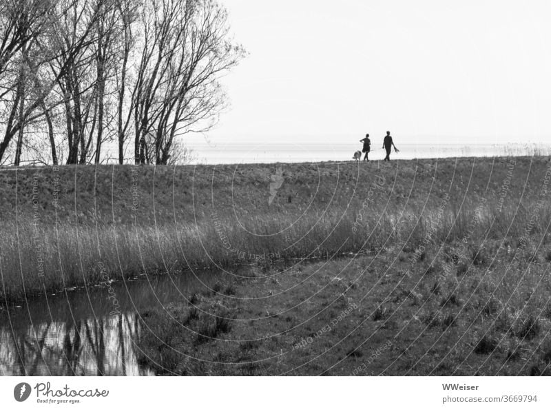 Spaziergang mit dem Hund auf dem alten Deich Menschen schwarzweiß Usedom Bäume Wasser Spiegelung Natur Gras Landschaft See Himmel Reflexion & Spiegelung ruhig